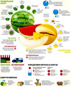 Как выбрать правильный арбуз 