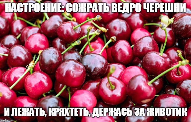 Много спелых ягод черешни